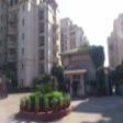4200 Sq.Ft. Luxurious Pent House Available On Rent In Beverly Park, Gurgaon 5 Bhk Duplex  Rent DLF PHASE II Gurgaon